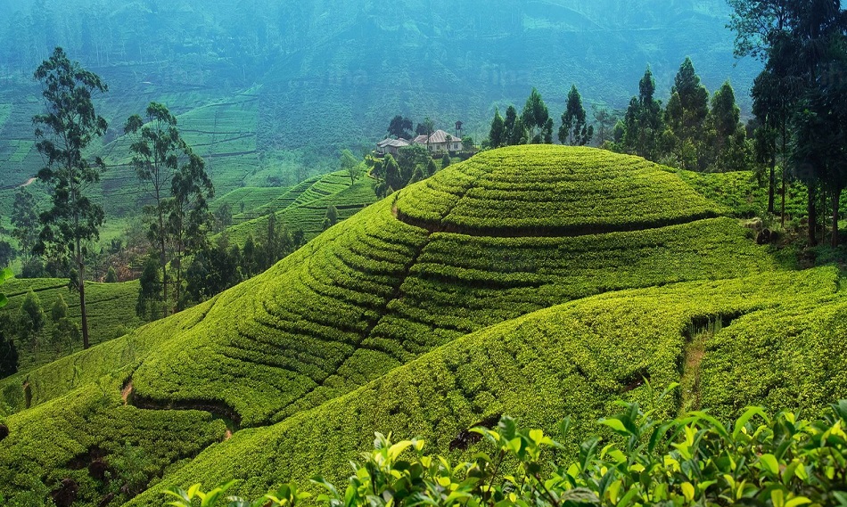 SRI LANKA
