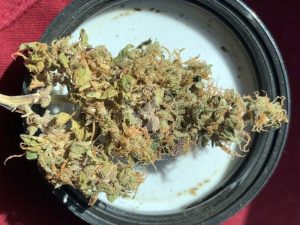 IRAN - RAZAVI KHORASAN